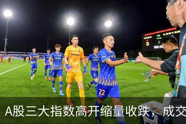 A股三大指数高开缩量收跌，成交额1.43万亿，IT服务行业领涨！